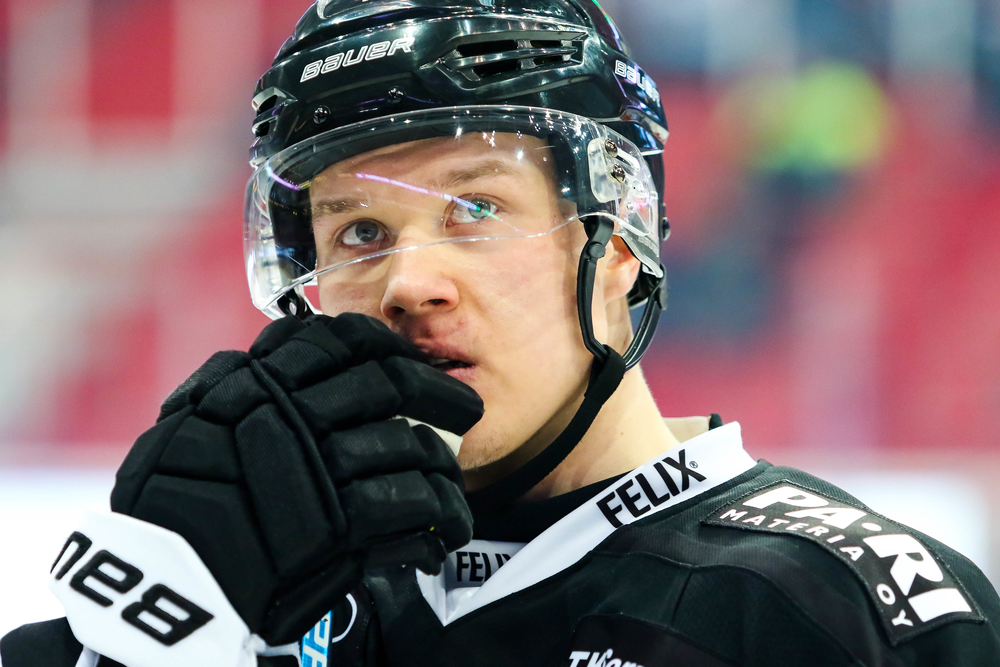 verkkoAnttalainen
