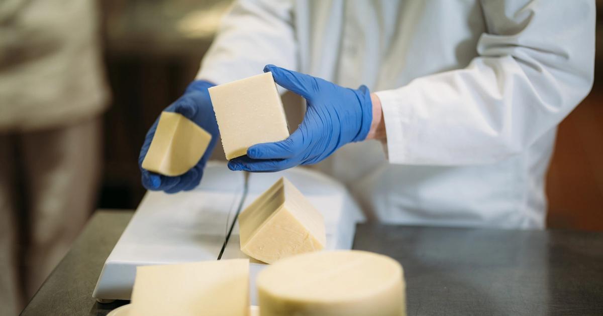 hami_milkworks_sairio_isot-16