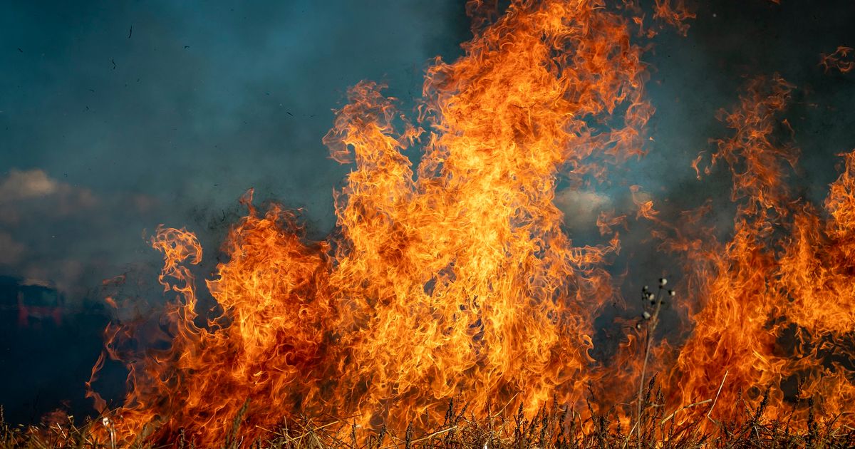 fire-g5d36fafd3_1920