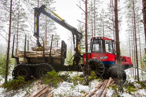 metsala2_kuva_piia_kinnunen