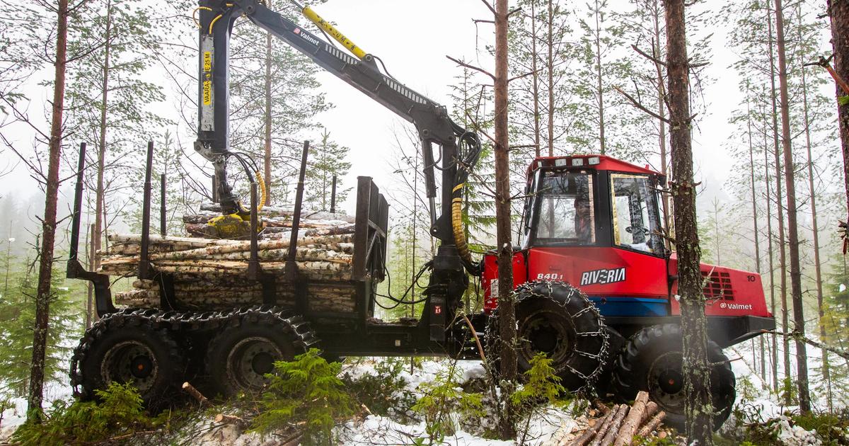 metsala2_kuva_piia_kinnunen