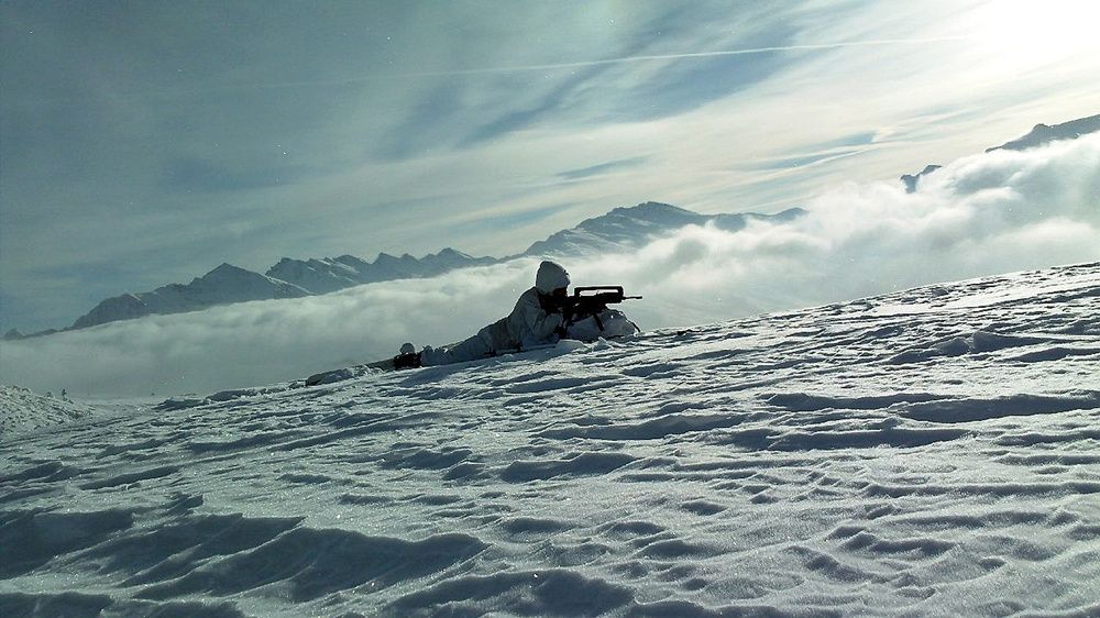 verkkoedit_karikallonen_5-2020Pääkuva