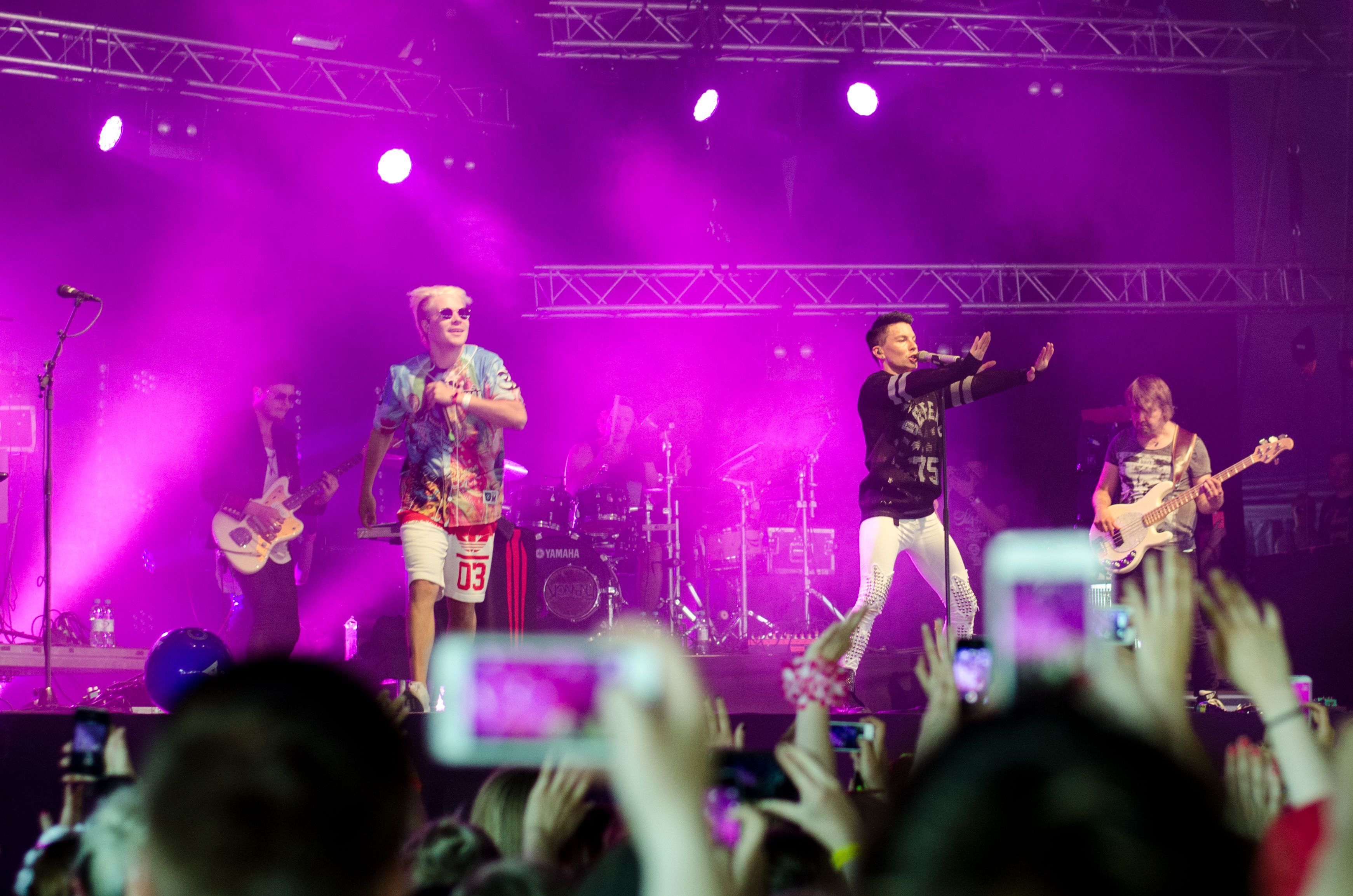 Vikidiviimenenvillegalle ja ANA